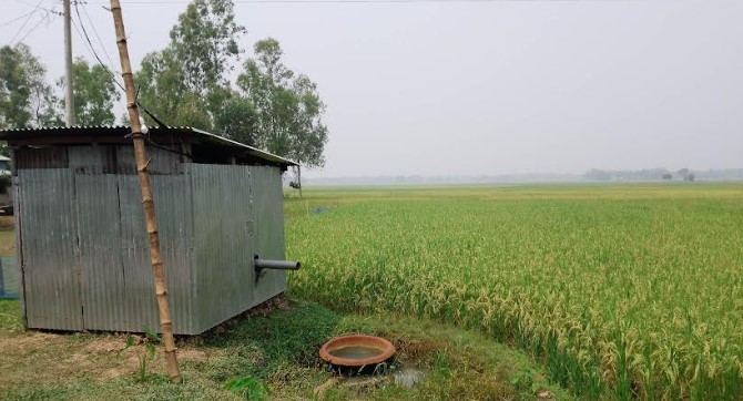 লোডশেডিংয়ে সেচকাজ ব্যাহত, দুশ্চিন্তায় কৃষক